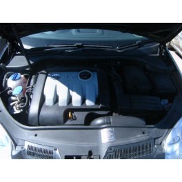 tablou sigurante Vw Golf 5 1.9tdi bls